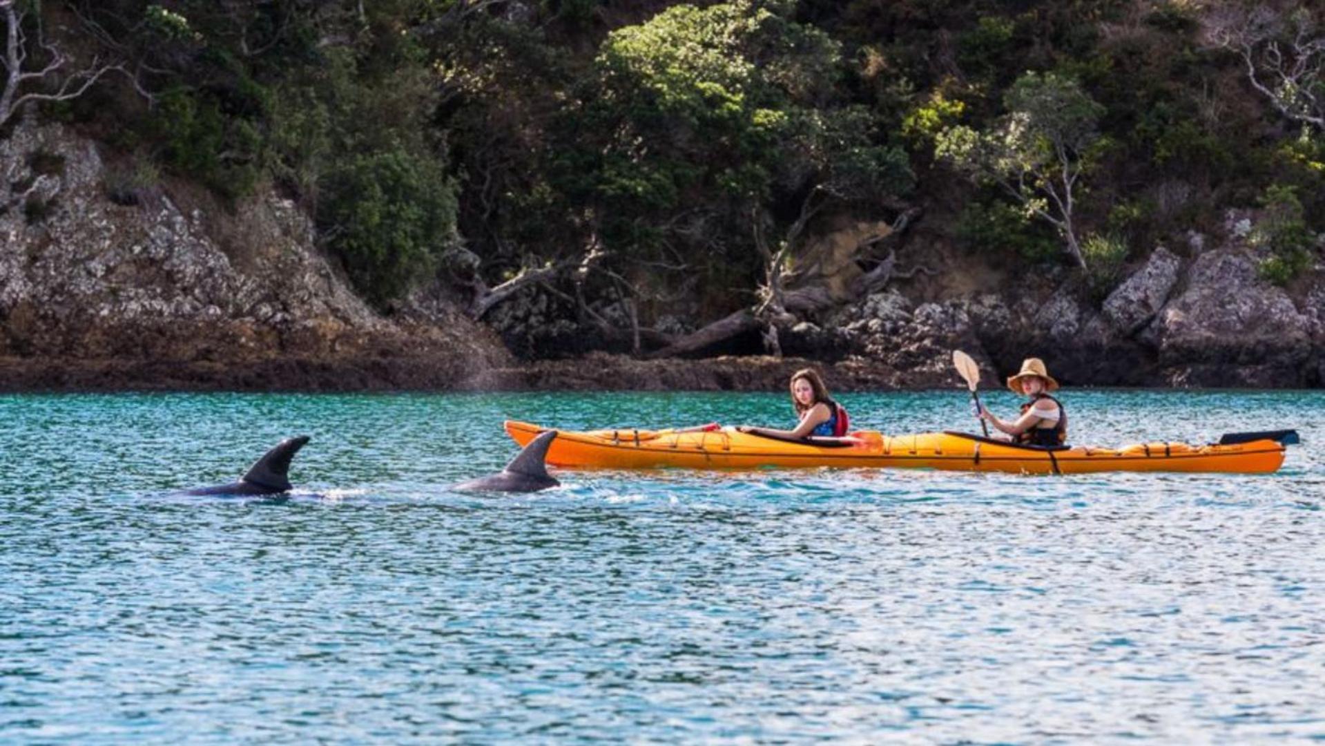 Waiheke Backpackers Hostel Onetangi Eksteriør billede